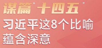 习近平这8个比喻蕴含深意