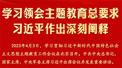 学习领会主题教育总要求习近平做出深刻阐释