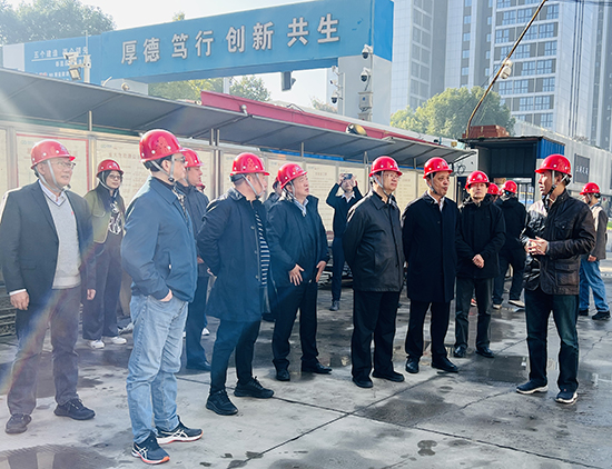 集团公司外部董事调研南京儒商科技大厦项目