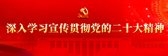 二十大精神